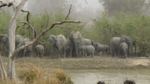 Lee más sobre el artículo 2011-2014 en Burkina Faso