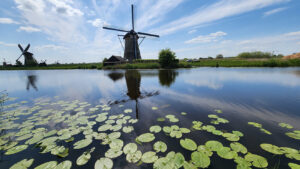Read more about the article May in Benelux