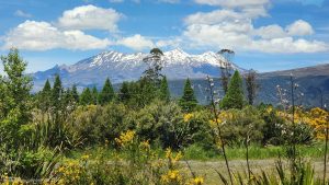 Read more about the article Décembre 2025 en Nouvelle-Zélande